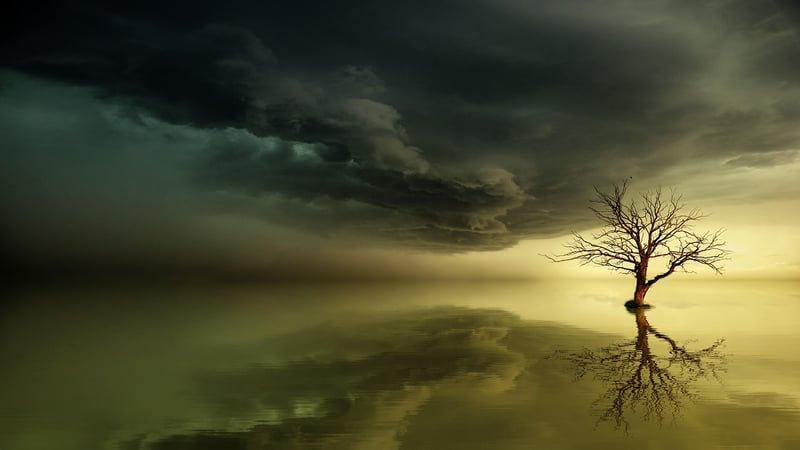 Enchanted Lighting